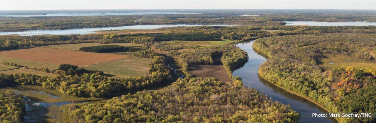 Aerial overview of wetland landscape
