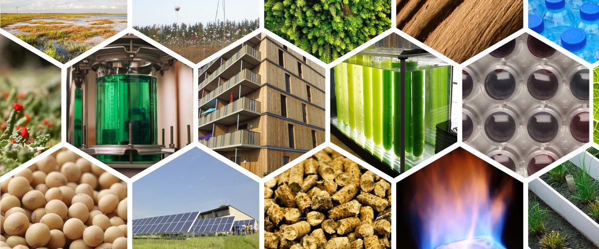 a honeycomb style collage of bioproduct related images consisting of wood, algae, nanotechnology, soybeans, and biofuels.