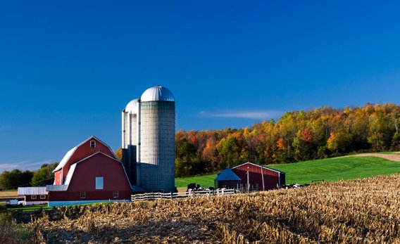 Farm landscape with a red barn and colorful trees and blue sky in the background.
