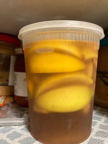 Kombucha with lemons fermenting inside a large plastic container