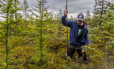 BBE research associate professor Chris Lenhart measuring the depth of a peatland with an avalanche probe at Sax-Zim Bog