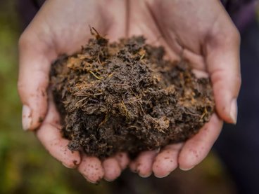 Everything you need to know about Peat Moss — Sustainable Resources Group