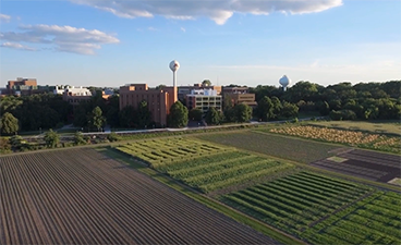 An aerial view of the St. Paul campus agriculture fields.
