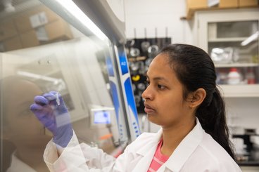 Vinni Thekkudan Novi works in a lab in Kaufert Lab.