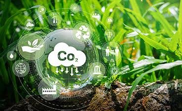 Graphic design bubbles with "Co2" laying in front of an image of up close grass.