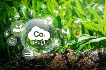 Graphic design of bubbles with "Co2" inside sitting in front of an image of up close grass.