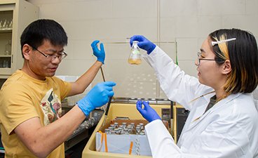 Assistant Professor Jiwei Zhang on the left and researcher on the right examining vial.