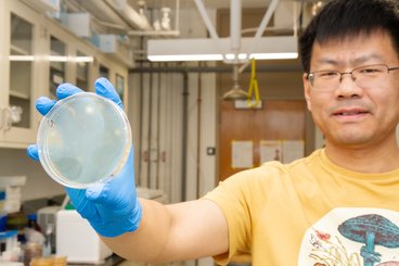 Jiwei Zhang inside a science lab and holding up a petri dish with fungus inside